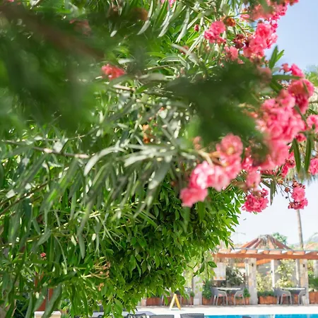 West House Exclusive * Göcek