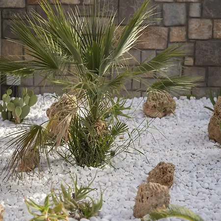 West House Exclusive