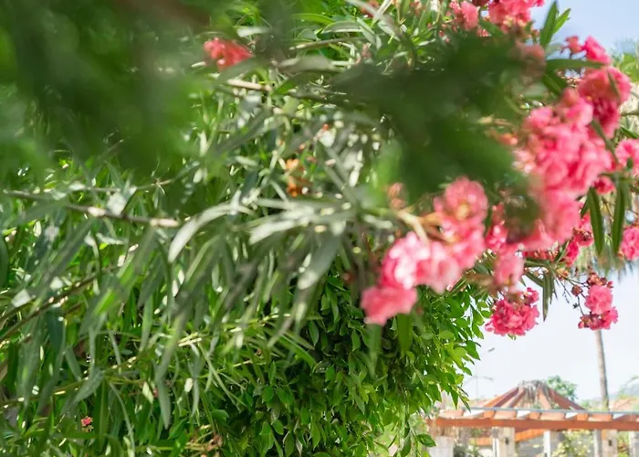 West House Exclusive * Göcek