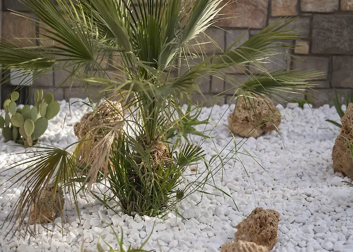 West House Exclusive